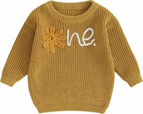 Baby Girl Boy First Birthday Outfit Embroidery Sweater Pullover Oversized Knit 1st Birthday Winter Cute Clothes