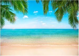 Beach Ocean Backdrop, Hawaii Tropical Background Summer Photography Picture Luau Theme Party Decorations, Outdoor Indoor Aloha Birthday Decor Banner Photo Studio Photoshoot Props 95.6"x70.8"