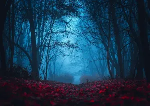 BELECO 10x8ft Fabric Mysterious Foggy Forest Backdrops for Photography Dark Horror Park Red Leaves Forest of Strangers Background Halloween Night Vampire Witch Wizard Horror Party Decor Photo Props