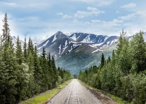 BELECO 10x8ft Fabric Snow-Capped Mountains Railroad Track Backdrop Alaska Wilderness Road Pine Trees Forest Snow Mountains Nature Landscape Background Wallpaper Photo Booth Studio Props