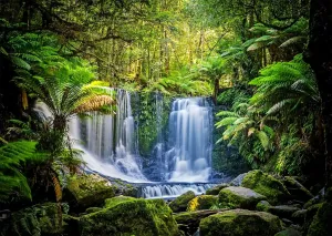 BELECO 7x5ft Fabric Jungel Forest Waterfall Photography Backdrop Tropical Rainforest Cascade Green Trees Landscape Background Walking Travel Outdoor Camping Activity Photo Shoot Studio Props