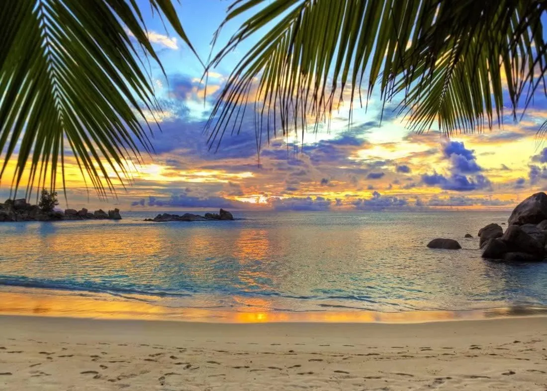 BELECO Sunset Beach Backdrop 9x6ft Fabric Summer Tropical Sea Palm Tree Hawaii Scenery Background Birthday Wedding Party Decor Baby Shower Photoshoot Prop Kids Adults Family Portrait Photo Prop