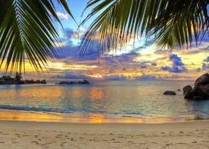 BELECO Sunset Beach Backdrop 9x6ft Fabric Summer Tropical Sea Palm Tree Hawaii Scenery Background Birthday Wedding Party Decor Baby Shower Photoshoot Prop Kids Adults Family Portrait Photo Prop