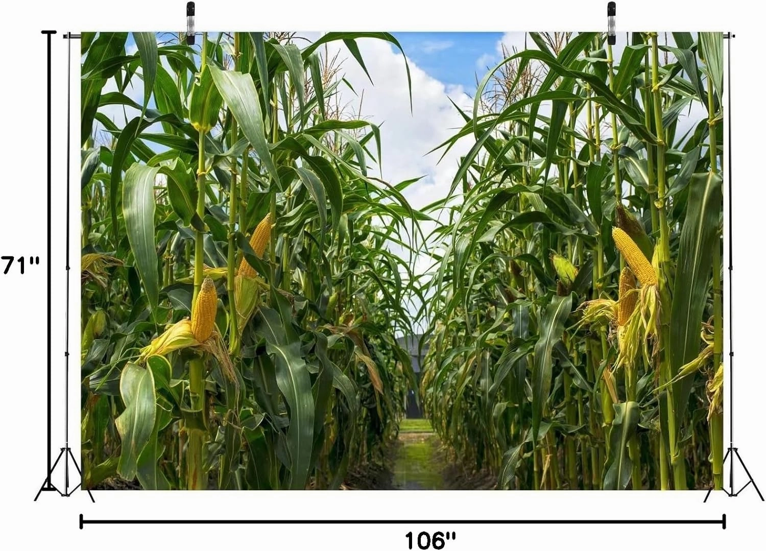 BELECO 9x6ft Green Cornfield Backdrop Fabric Rural Corn Fields Maize Photography Background Farmland Crops Fall Harvest Theme Party Decor Backdrop Coutryside Farm Agriculture Scenery Photo Props