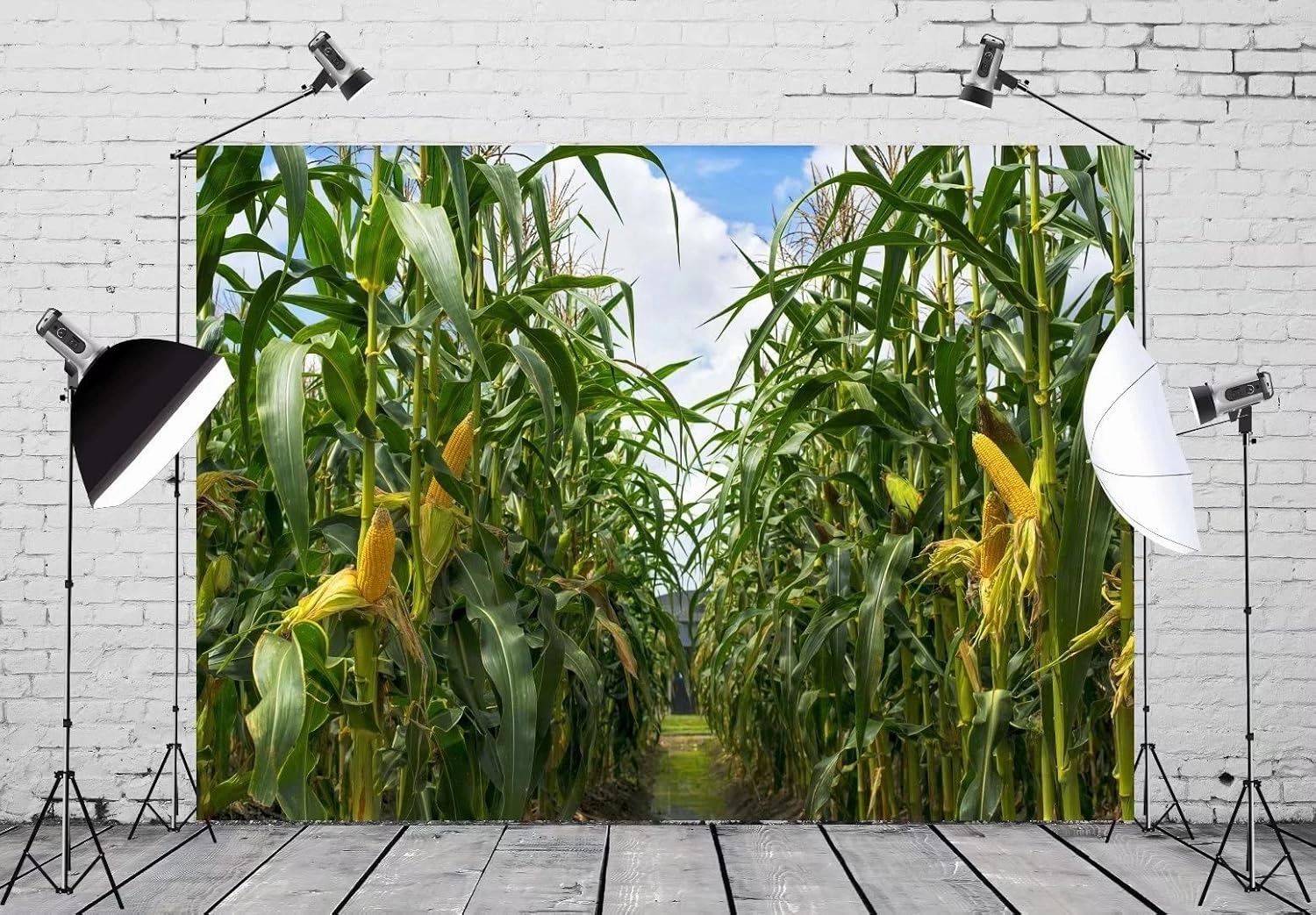 BELECO 9x6ft Green Cornfield Backdrop Fabric Rural Corn Fields Maize Photography Background Farmland Crops Fall Harvest Theme Party Decor Backdrop Coutryside Farm Agriculture Scenery Photo Props