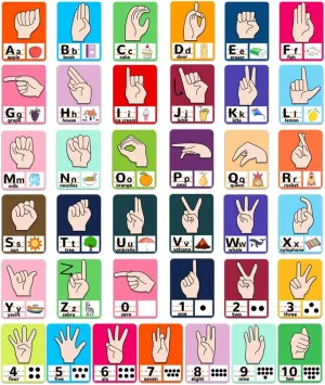 BEUNITONE 74 Pcs Sign Language Felt Pieces Set Alphabet Number Learning ABC Alphabet Poster Classroom Decor Sign Language Felt Board Letters Preschool Felt Story Board Pieces for Early Learning