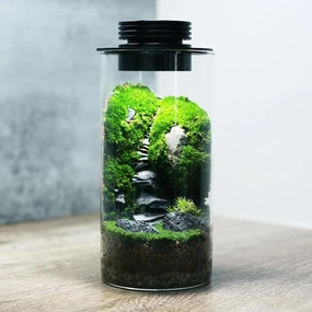Desktop Glass Plant Terrarium with Grow Light (H:7.8" D:4"), for Succulent, Moss, Miniature Gardening Landscape, Betta Fish Tank, Indoor Plant Growth, Office Home Decoration, Plant Lovers Gifts