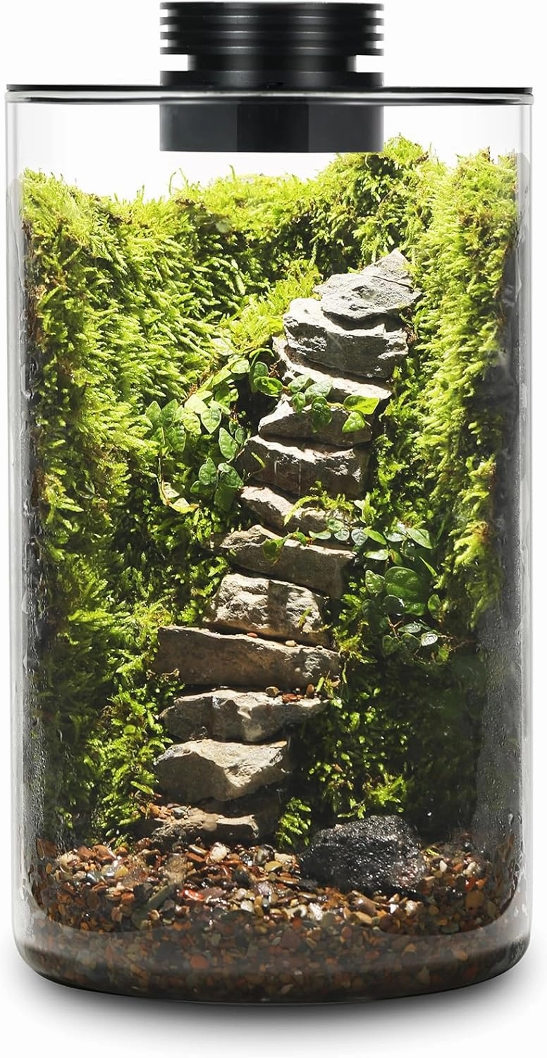 Desktop Glass Plant Terrarium with Grow Light (H:9.8" D:5.9"), for Succulent, Moss, Miniature Gardening Landscape, Betta Fish Tank, Indoor Plant Growth, Office Home Decoration, Plant Lovers Gifts