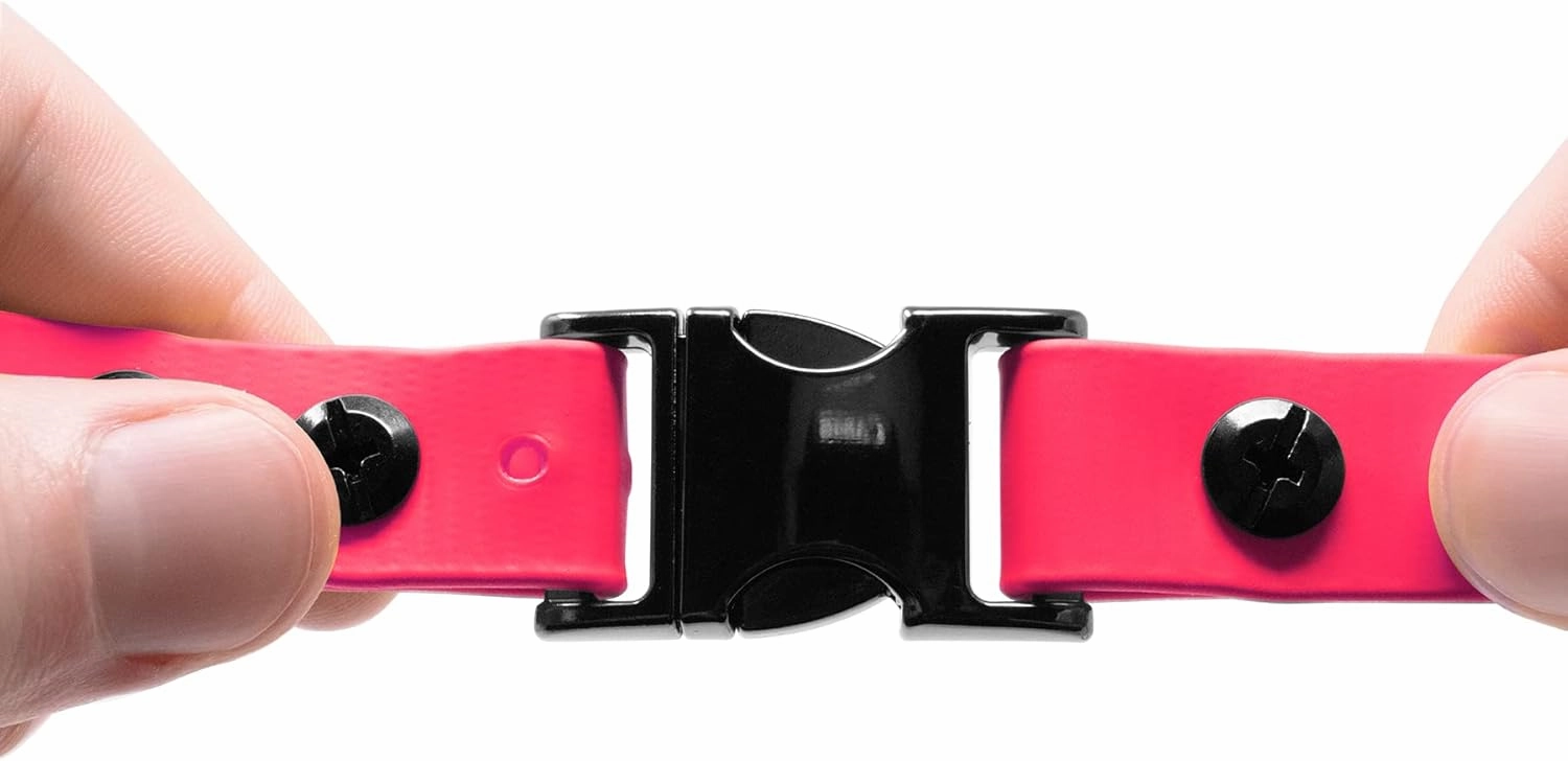 Educator Quick Snap Bungee Dog Collar, Biothane, Waterproof, Odorproof, Easy Connect and Disconnect Clasp and D Ring with Comfort Bungee Loop, Adjustable for Custom Fit, 3/4-Inch, Pink