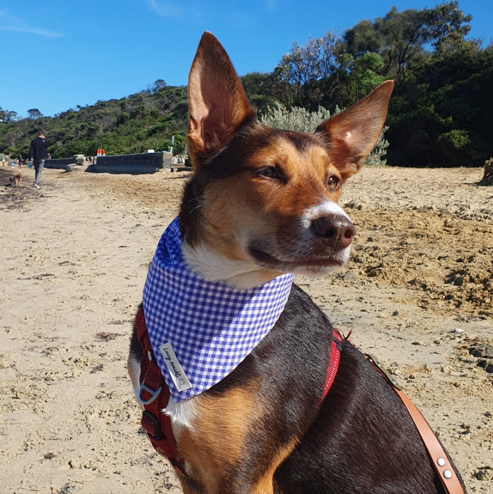 Grape Mini Gingham - Pet Tie Bandana