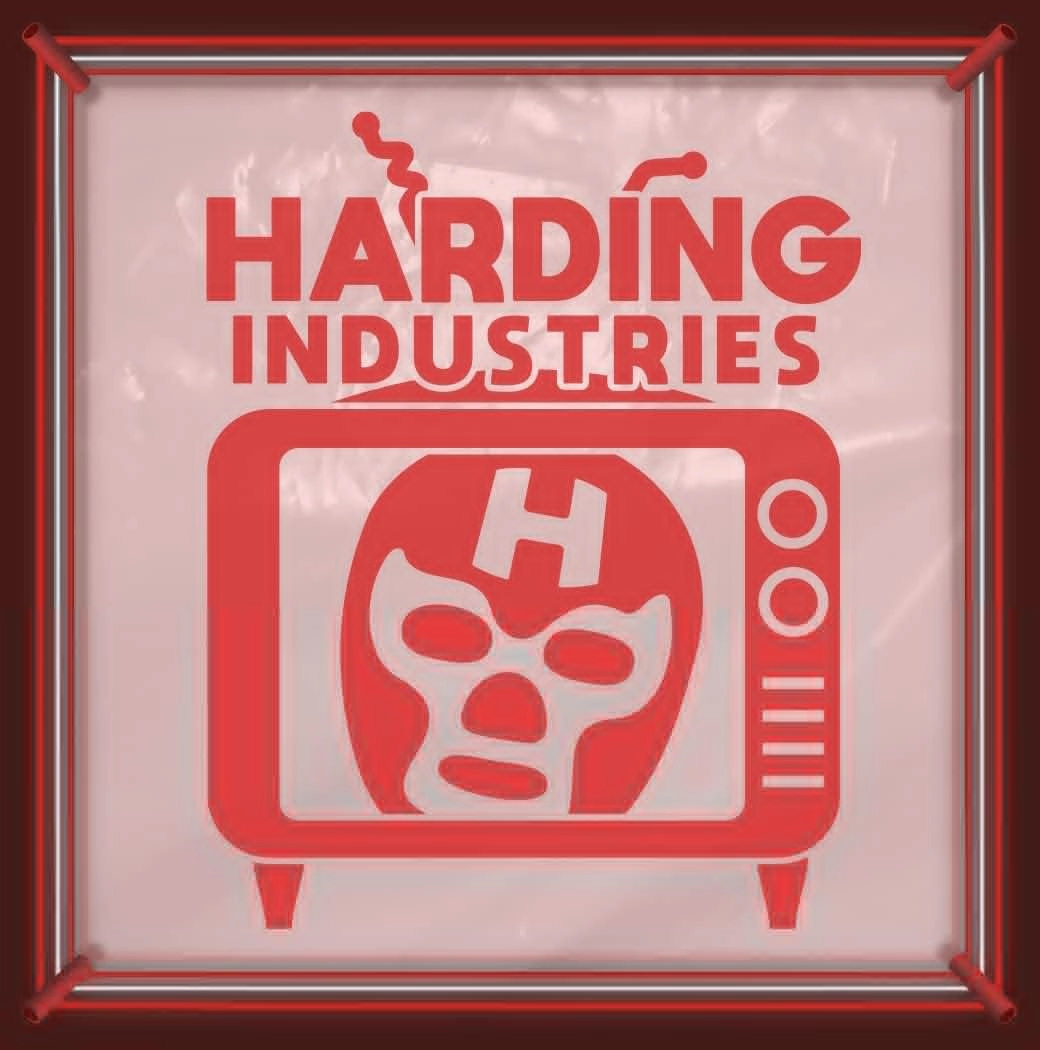 Harding Industries Just A Girl with A Speed Problem - Men's Soft Graphic T-Shirt CP05