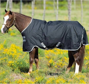 Horseware Ireland Amigo Stock Horse T/O Lite Black/Silver 76