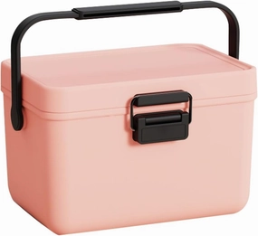 Insulated Mini Ice Chest with Portable Handles, 4qt Small Hard Cooler Lunch Box for Car Camping Picnic Beach Outdoor Cooler Refrigerated Box for Beach, Picnic, Camping, Boat