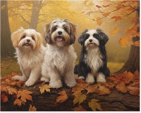 Jigsaw Puzzle 1000 Piece for Adults,Havanese Dogs in Autumn Park Jigsaw Puzzle， for Animal Lovers Educational Toys Gift for Boys and Girls Decompression Toy Jigsaw Puzzle Game Toys Gift