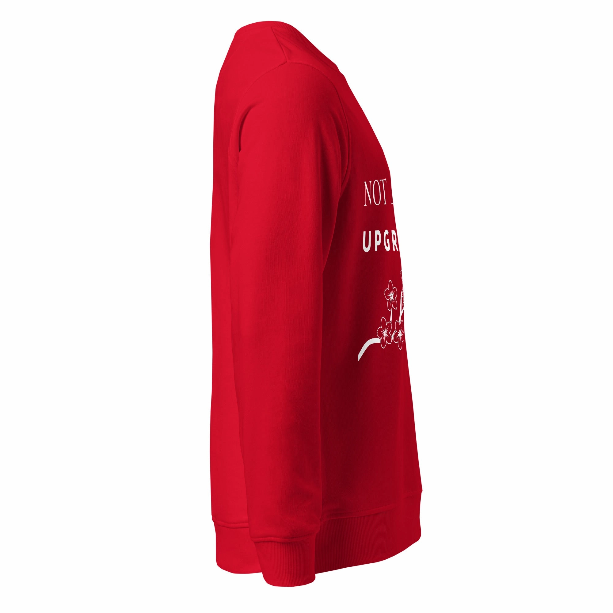Not Ageing Upgrading - Unisex Organic Sweatshirt