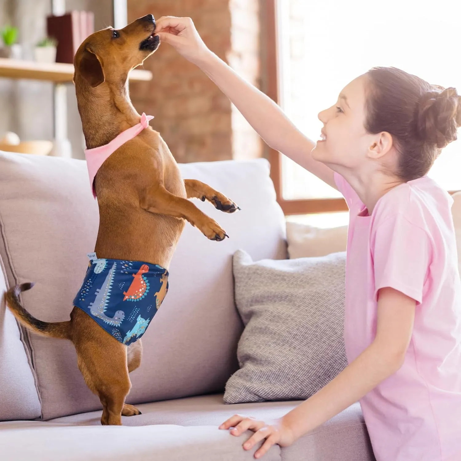 Pet Soft Dog Belly Band - 3 Packs Reusable Dog Diapers Male|Male Dog Diapers Belly Wraps - Washable Dog Belly Bands for Male Dogs(Dino, S)