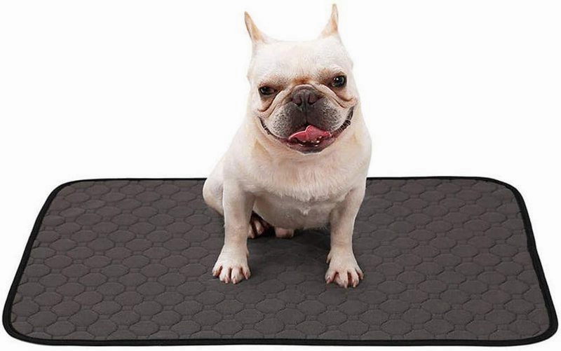 Pet Dog Pee Pad Urine Mat