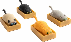 Racing Cats in Boxes - Set of 4