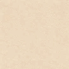 Ranger Beige