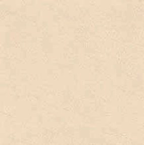 Ranger Beige