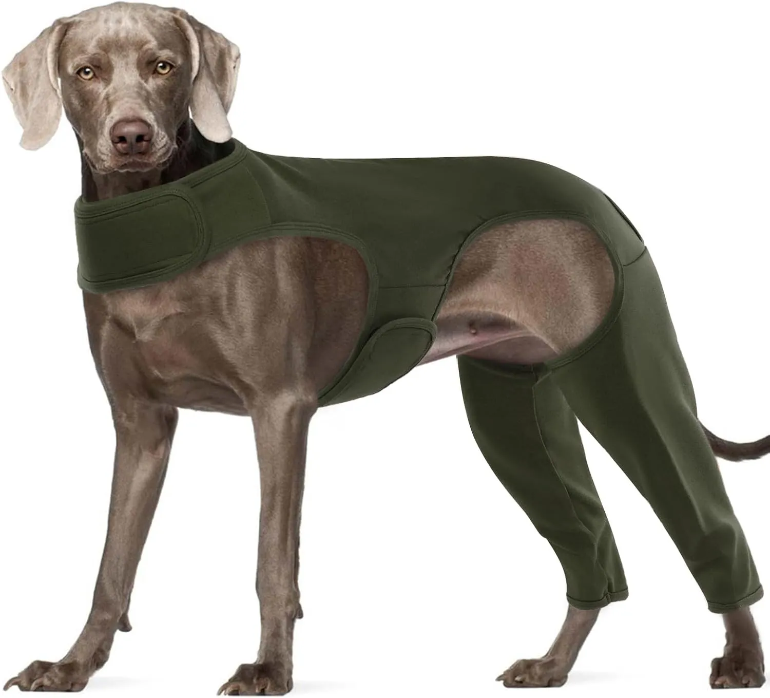 ROZKITCH Dog Surgery Recovery Sleeve Rear Legs, Pet Sleeve to Prevent Licking Wound Elbow Brace Protector, Dog Recovery Suit Cone Collar Alternative for Sprain ACL CCL Arthritis Joint Care Green 3XL