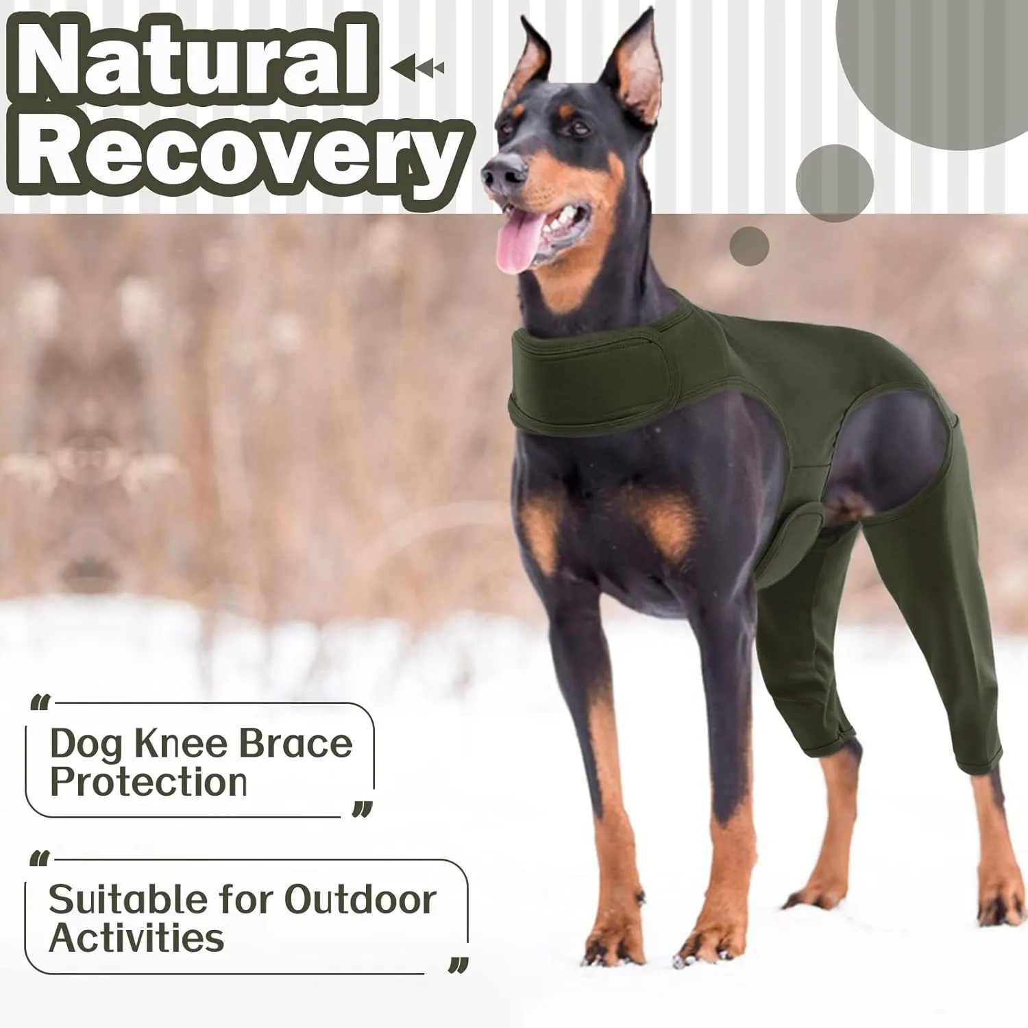 ROZKITCH Dog Surgery Recovery Sleeve Rear Legs, Pet Sleeve to Prevent Licking Wound Elbow Brace Protector, Dog Recovery Suit Cone Collar Alternative for Sprain ACL CCL Arthritis Joint Care Green 3XL