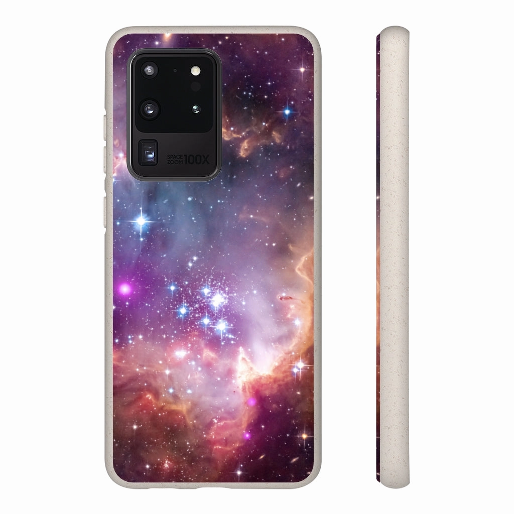 Small Magellanic Cloud Biodegradable Phone Case
