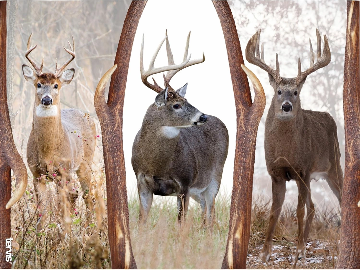 Tervis Deer Trio Made in USA Double Walled Insulated Tumbler Travel Cup Keeps Drinks Cold & Hot, 24oz, Classic