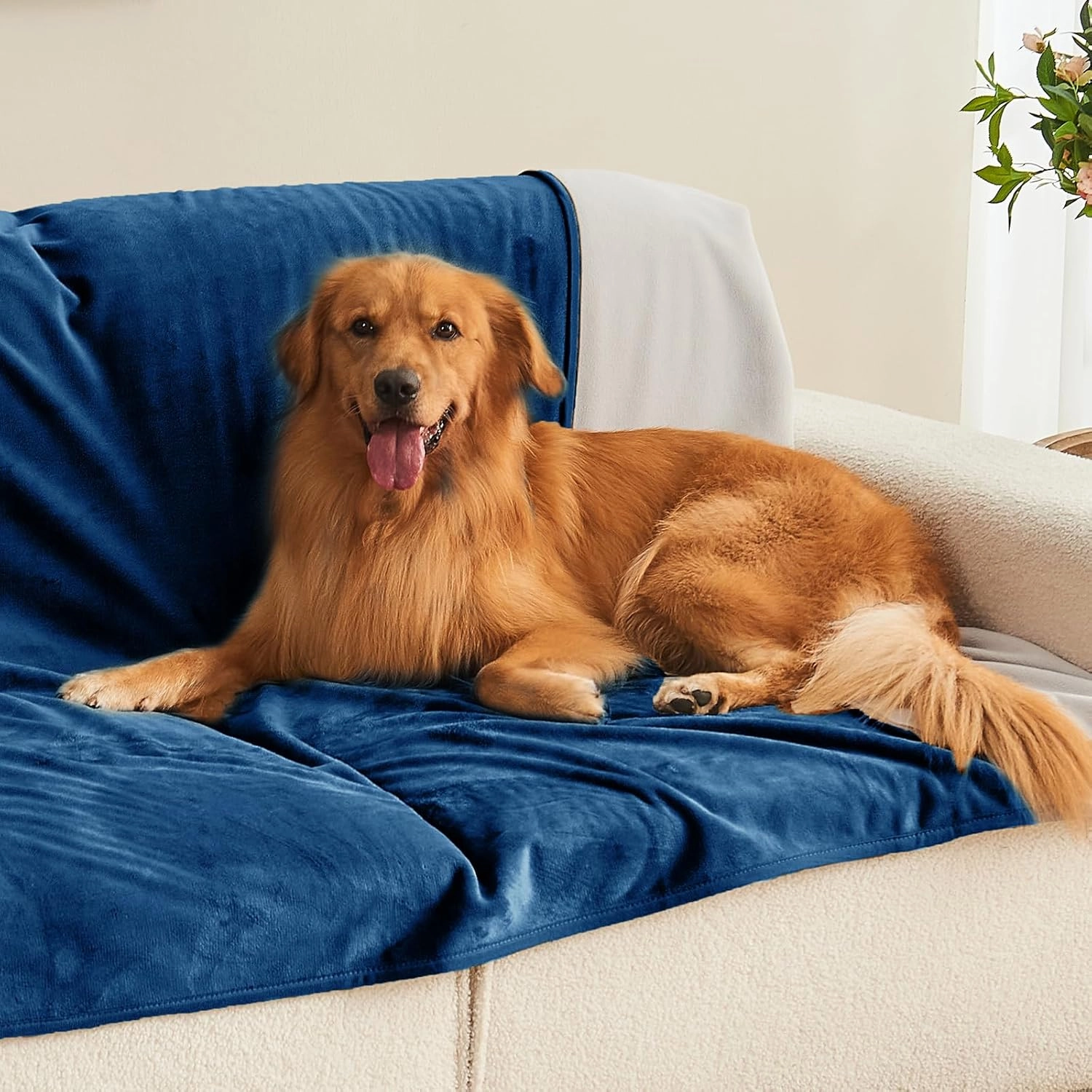 Waterproof Blanket 60"x80" for Adults, Reversible Waterproof Bed Cover for Dogs Cats Pets, Soft Leakproof Blanket for Bed Couch Sofa Furniture Protector, Navy Blue/Light Grey